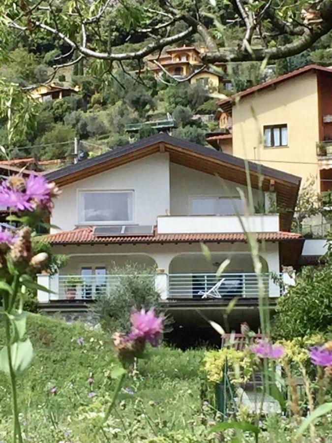 Villa 3 Olivi - Lenno By Lovecomo Exterior foto